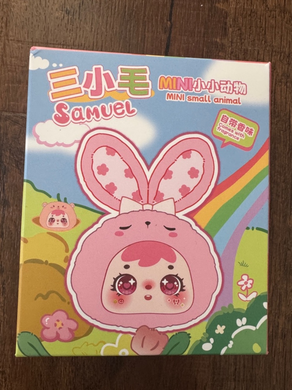 Samuel Pink Bunny Mini Small Animal Box